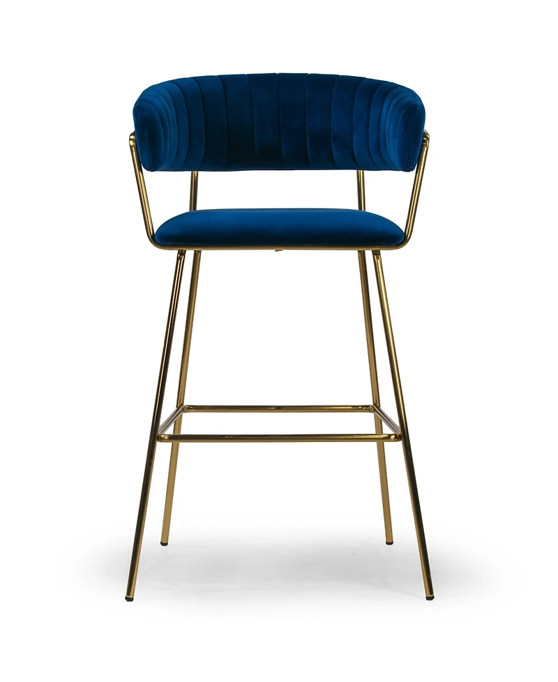 Glamour Home 30" Anya Fabric, Metal Barstool, Set of 2