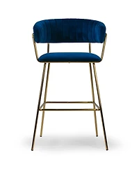 Glamour Home 30" Anya Fabric, Metal Barstool, Set of 2