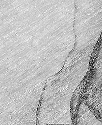 Addison Chantille Machine Washable ACN502 5'x7'6 Area Rug