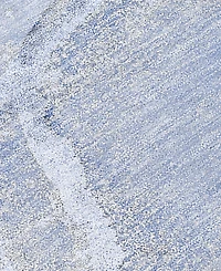 Addison Chantille Machine Washable ACN510 8'x10' Area Rug