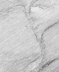 Addison Chantille Machine Washable ACN516 9'x12' Area Rug