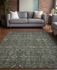 Addison Chantille Machine Washable ACN574 3'x5' Area Rug