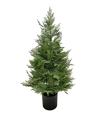 National Tree Company 3 ft. Cypress Tree in Nursery Pot