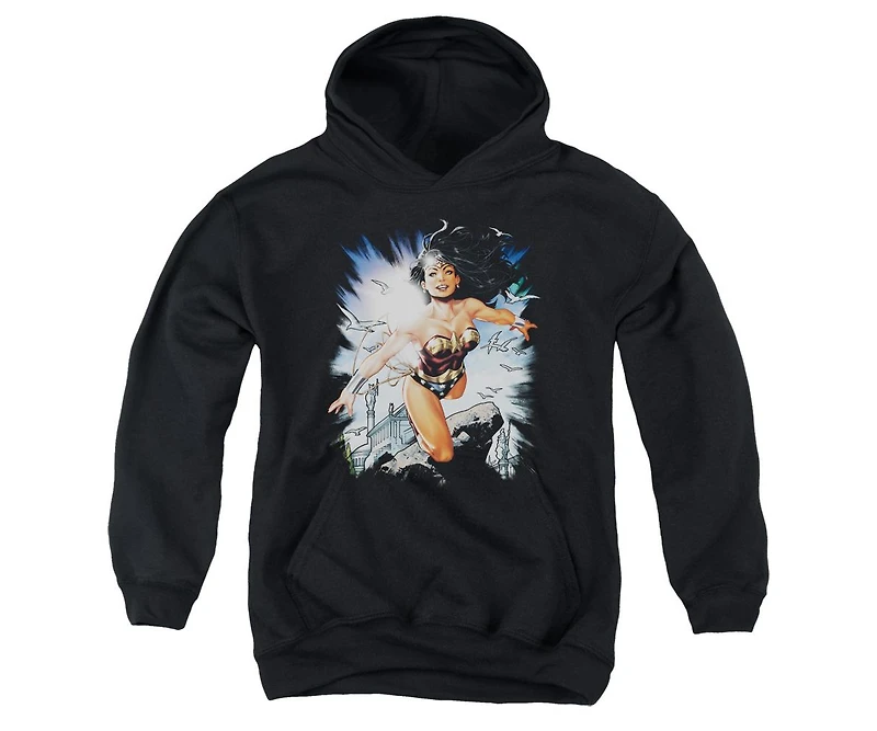 Justice League Boys Of America Youth Themyscira Pull Over Hoodie / Hooded Sweatshirt