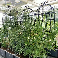 Streamdale Metal Garden Trellis 71" x 19.7" for Climbing Plants