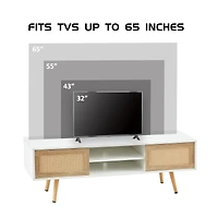 Streamdale White Rattan Tv Cabinet with Sliding Doors & Adjustable Shelf