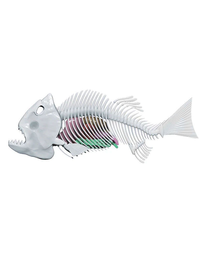 World Tech Toys Amazing Creatures Synthetic Dissection Kit - Piranha