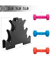 Philosophy Gym Neoprene Dumbbell Hand Weights with Stand, lbs ( lb, 3 lb