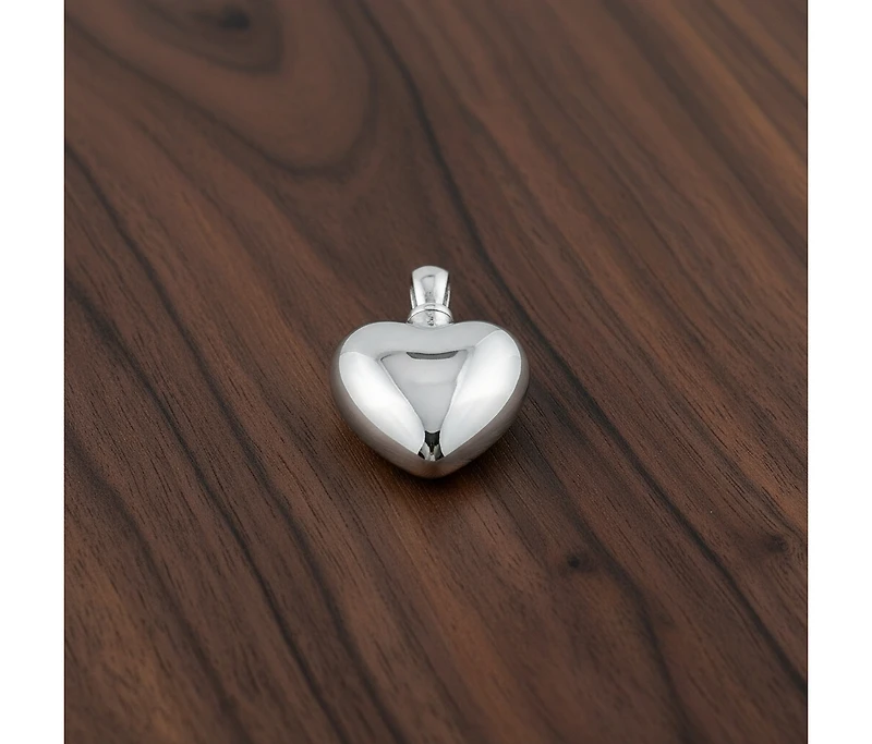 Stainless Steel Heart Cremation Pendant Necklace