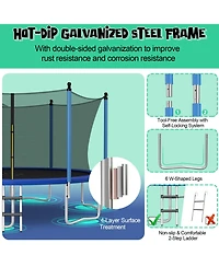 Outdoor Recreational Trampoline with Ladder and Enclosure Net-12 ft