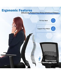 Mesh Office Chair Mid Back Task Chair Height Adjustable