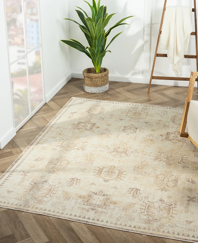 Lr Home Anna Ari-423 5'3"x7' Area Rug