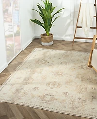Lr Home Anna Ari-423 5'3"x7' Area Rug