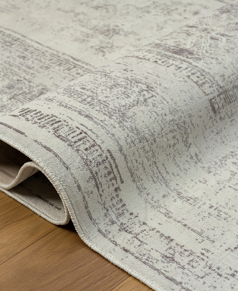 Lr Home Anna Ari-426 5'3"x7' Area Rug