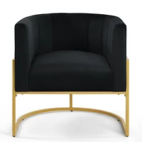 Simplie Fun Golden Metal Accent Chair with Velvet Upholstery