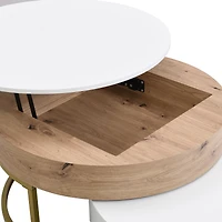Streamdale Modern Round Lifttop Nesting Coffee Tables With 2 Drawersnatural