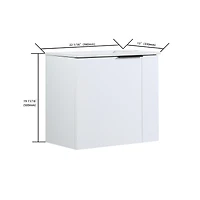 Streamdale 22" Floating Vanity with Soft Close Door