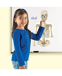 Learning Resources Double-Sided Magnetic Human Body