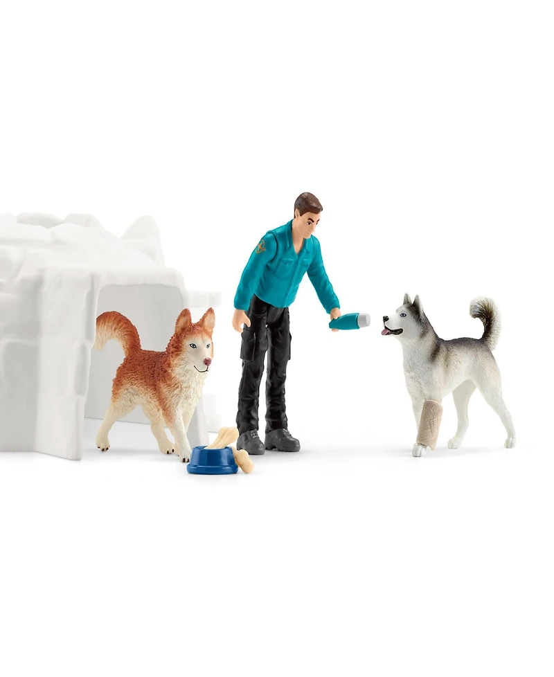 Schleich Wild Life Antarctic Expedition Playset