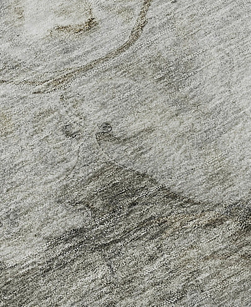 Dalyn Trevi Washable TV7 10'x14' Area Rug