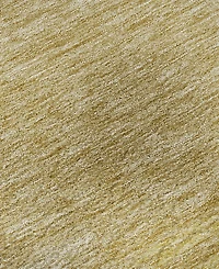 Dalyn Trevi Washable TV2 10'x14' Area Rug