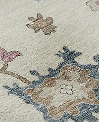 Dalyn Hatay Washable HY4 5'x7'6"Area Rug