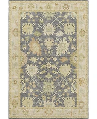 Dalyn Hatay Washable HY2 9'x12' Area Rug