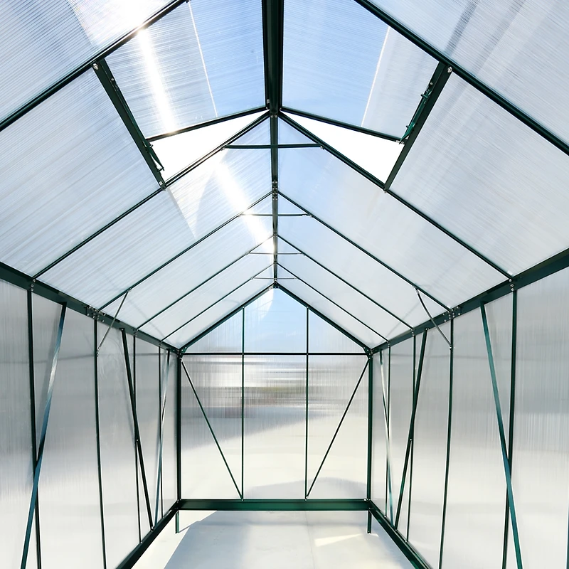 Premium Aluminum Greenhouse for Plant Growth & Ventilation