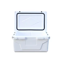 Streamdale Portable Insulated Cooler for Outdoor Activities (65qt)