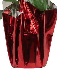 Northlight White Artificial Christmas Poinsettia 13.75"