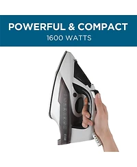 Steam Iron, 1600 Watts Steamer for Clothes, Self-Cleaning Portable Iron