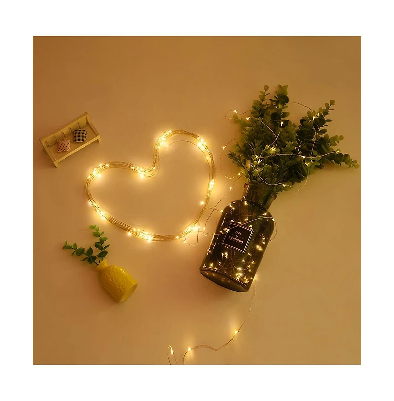 66 ft Led String Lights Battery Operated Starry Fair Rope Lights 8 Modes Remote Christmas