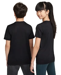 Nike Big Kids Legend Dri-fit Logo Graphic T-Shirt