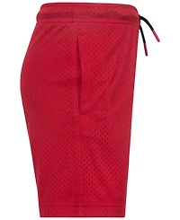 Jordan Little Boys Pe Mesh Shorts