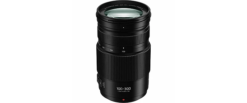 Panasonic Lumix G Vario 100-300mm f/4.0-5.6 Ii Lens for Micro Four Thirds