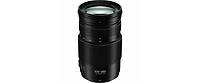 Panasonic Lumix G Vario 100-300mm f/4.0-5.6 Ii Lens for Micro Four Thirds
