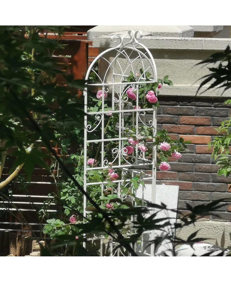 Streamdale Furniture Assembled 4-Pack Plant Trellises for Vine Plants and Climbing Flowers
