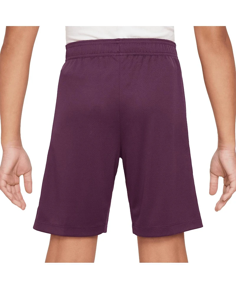 Nike Big Boys and Girls Burgundy Paris Saint-Germain 2024/25 Strike Performance Shorts