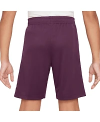 Nike Big Boys and Girls Burgundy Paris Saint-Germain 2024/25 Strike Performance Shorts