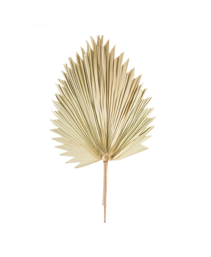 Premium Quality Tropical Fan Palm Leaf Bundle Set of 6 Realistic Foliage Stems for Home and Event Decoration