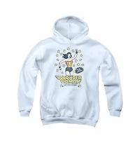 Dc Comics Boys Youth Action Figure Pull Over Hoodie / Hooded Sweatshirt