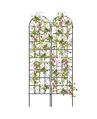 2 Pack 87" x 20" Metal Garden Trellis Decorative Outdoor for Climbing Plants