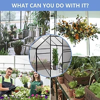 Streamdale 6x6FT Black Polycarbonate Greenhouse with Raised Base and Anchor
