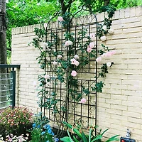 Streamdale Metal Garden Trellis 4-Pack - 86.7" x 19.7" - Rustproof - Black