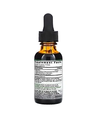 Nature's Answer Echinacea Root Fluid Extract Alcohol-Free 1 000 mg