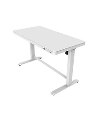 FlexiSpot EW8W Height Adjustable Standing Desk, White
