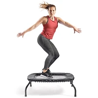Sunny Health & Fitness Springless Mini Trampoline – Premium Adjustable Bungee-Style Indoor/Outdoor Exercise Rebounder for Quieter and Safer Wo