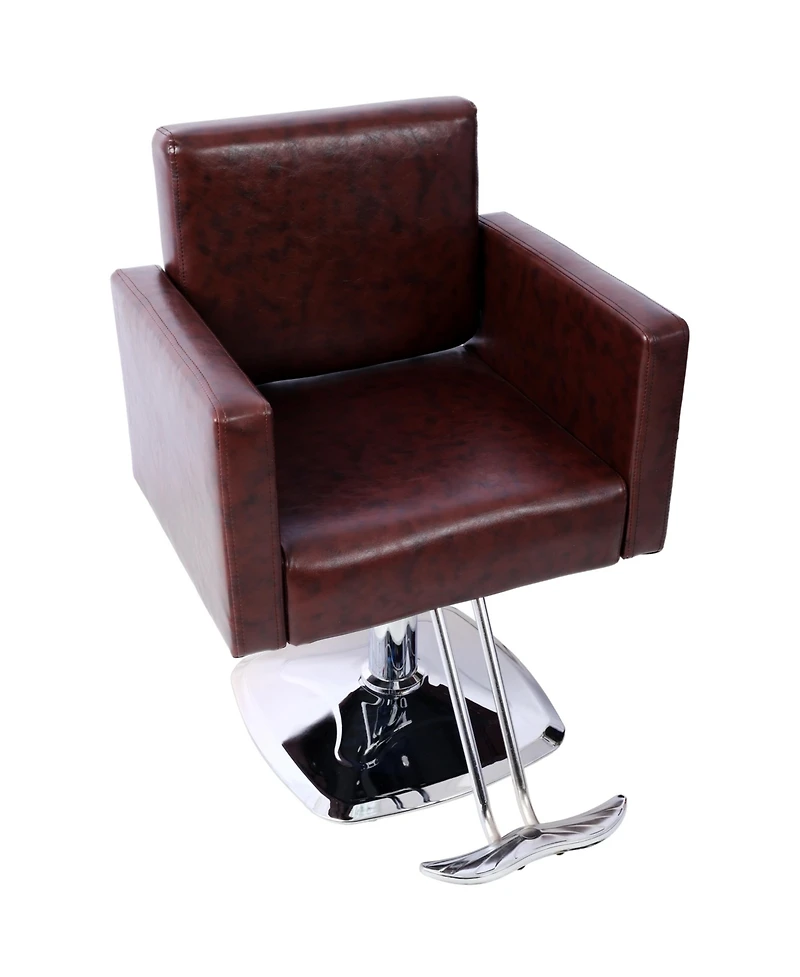 Simplie Fun Salon Chair with Hydraulic Pump, 360° Swivel, 330 lbs Capacity