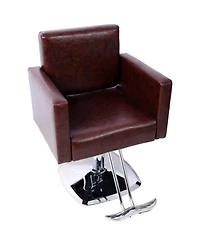 Simplie Fun Salon Chair with Hydraulic Pump, 360° Swivel, 330 lbs Capacity