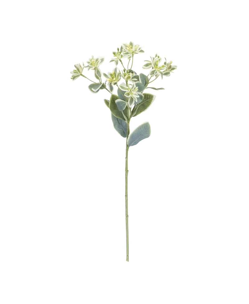 Slickblue Vibrant Euphorbia Spray for Floral Arrangements and Home Decor (Set of 6)